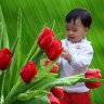 tham113114