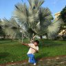 vancuong297