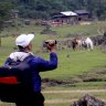 DUONG MEDIA